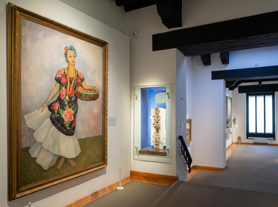 Vista aérea Casa Estudio Diego Rivera y Frida Kahlo en Xochimilco