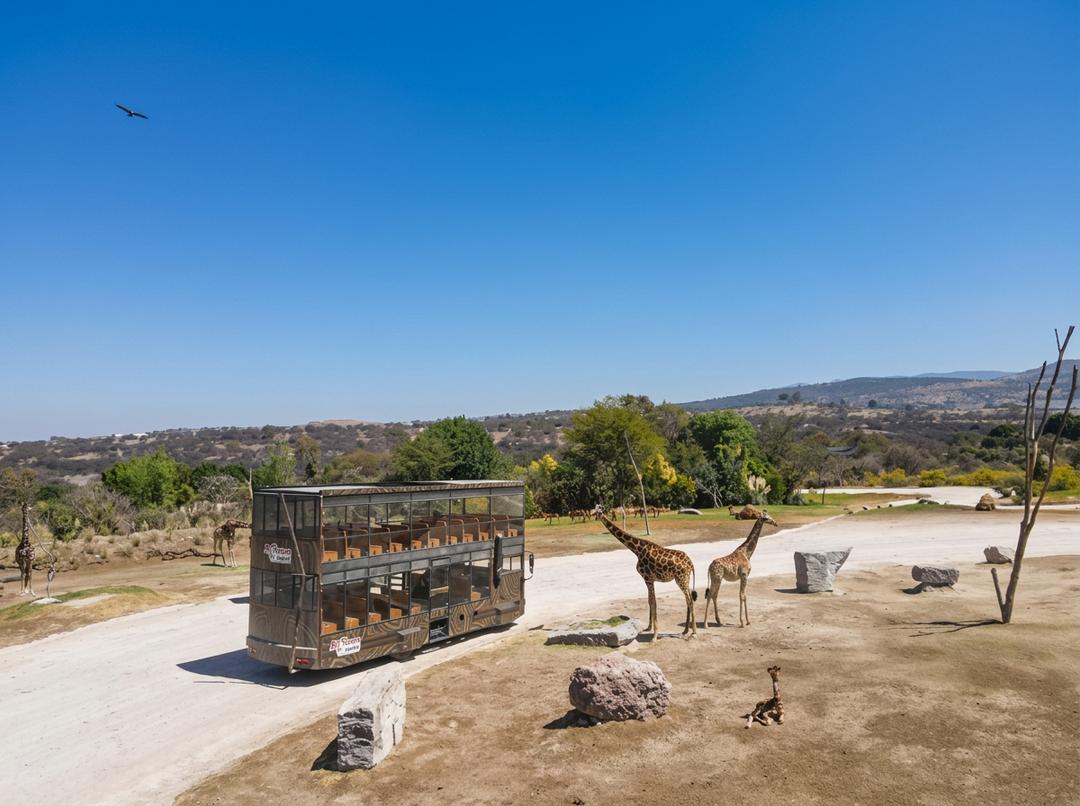 Safari Africam Puebla, viaje con fauna salvaje